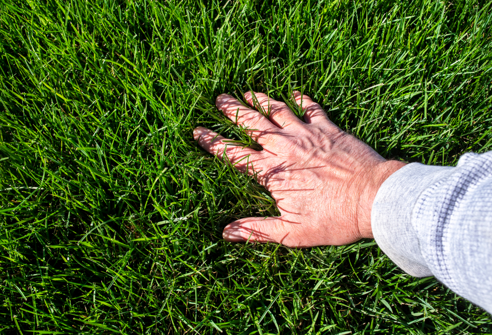 Why Hydrozoning is the Secret to a Thriving (and Affordable) Lubbock Lawn