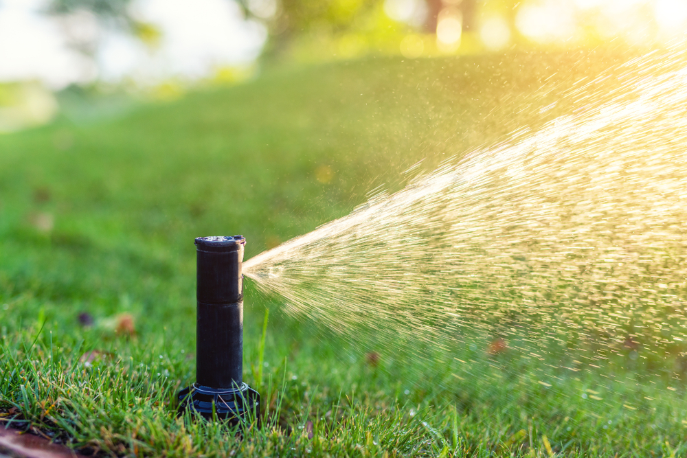 The Importance of Professional Lawn Sprinkler Installation in Lubbock, TX